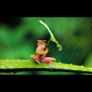 Meet your Posher, Andrew